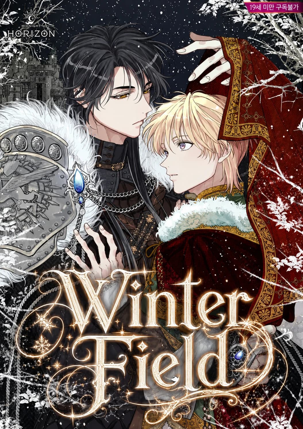 Winter Field