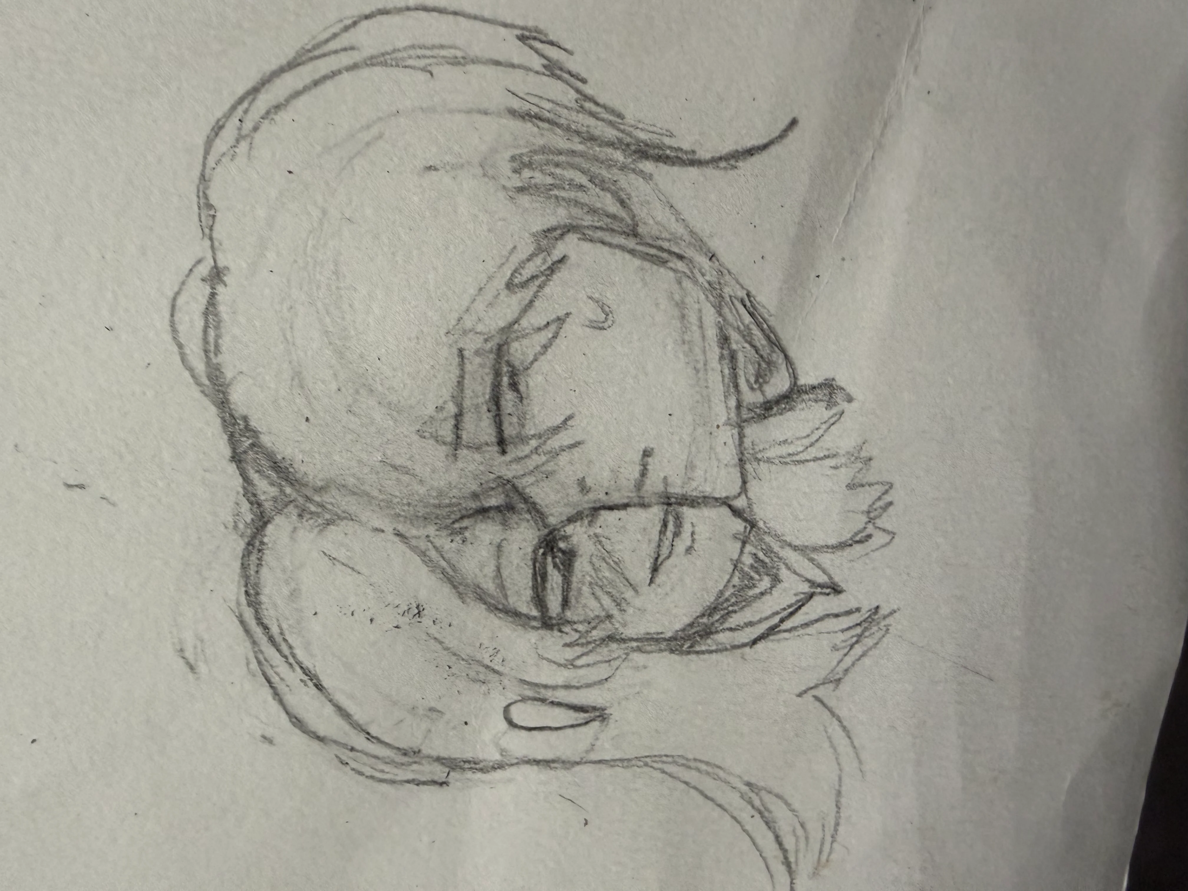 Image 2 of 3 attached to "Some art I drew"