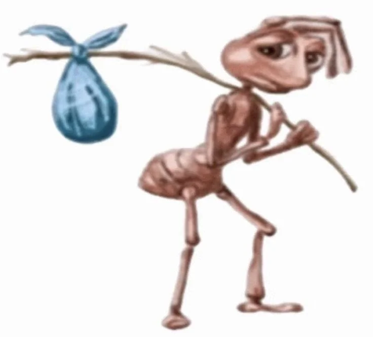 Image 1 of 1 attached to "why can't male leads communicate instead of 🍇 their partners"