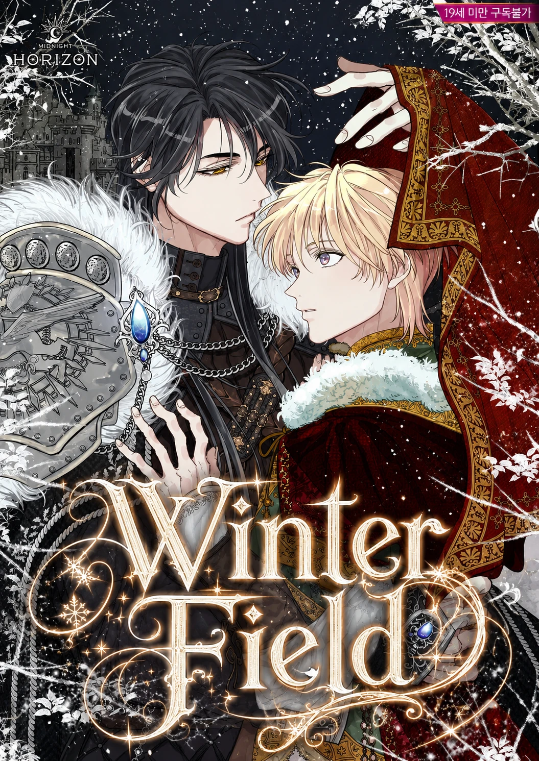 Winter Field